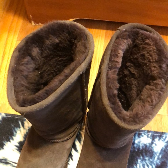 Bear Paw Boots - Picture 3 of 5